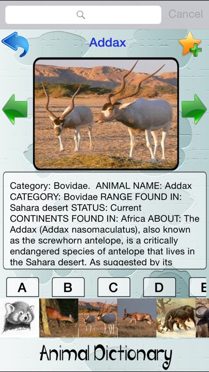 Animal Dictionary - Discover The World Of Wild Animals screenshot-3