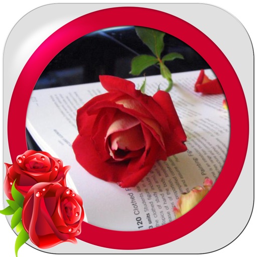 Romance Photo Frames : make instant frame collage iOS App