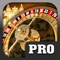 Monte Carlo Roulette Table PRO - Live Gambling and Betting Casino Game