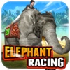 Elephant Racing Simulator