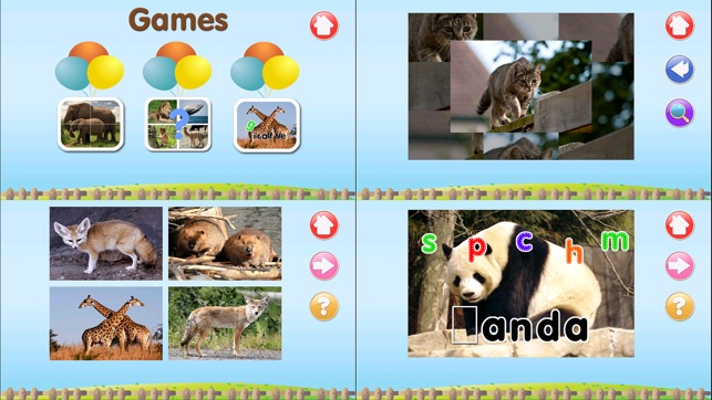 ABC Alphabet Animal Flashcards Write(圖5)-速報App