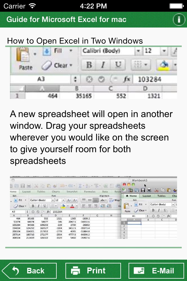 Guide for Microsoft Excel for Mac screenshot 3