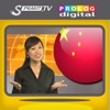 CHINESE - Speakit.tv (Video Course) (5X006ol)