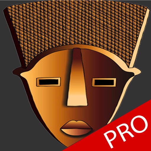 Call Disk Pro icon