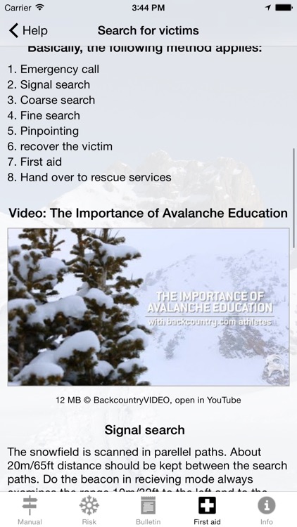 Avalanche Risk screenshot-4