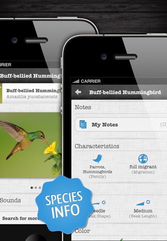 Birds PRO - North America (USA, Canada, Mexico) screenshot 4