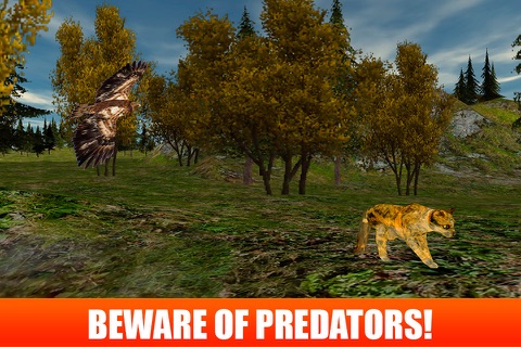 Wildlife Survival 3D: Wild Cat screenshot 3
