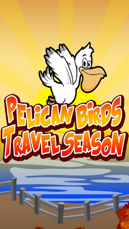 Pelican Birds Travel Season