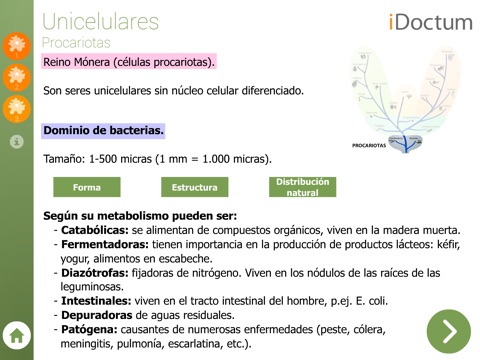 Biología: Animales – De los unicelulares hasta los gusanos screenshot 3