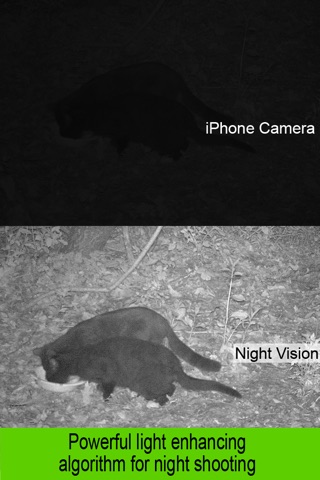 NIGHT VISION VIDEO CAMERA screenshot 2