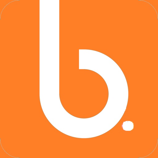 buyrstore icon