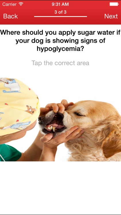 Pet First Aid: screenshot-3