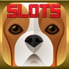 ``` 2015 ``` AAA Lucky Pets Jackpot Slots (Gold Wild Bonanza) - Win Progressive Vegas Journey Slot Machine