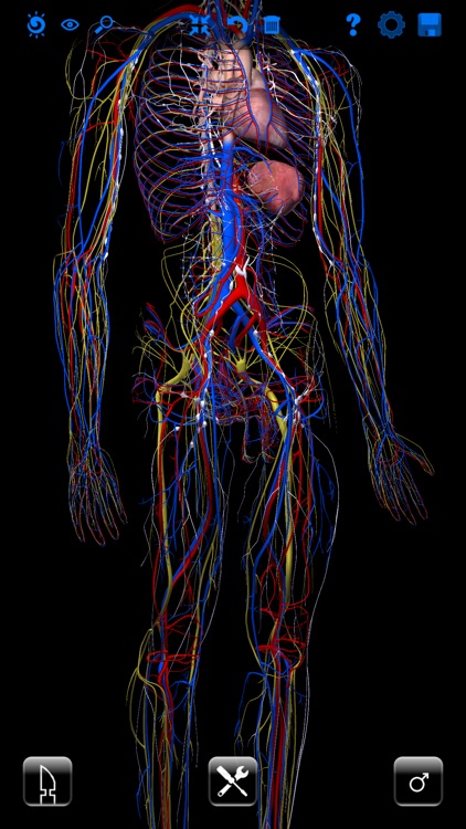 Zygote 3D Anatomy Atlas & Dissection Lab