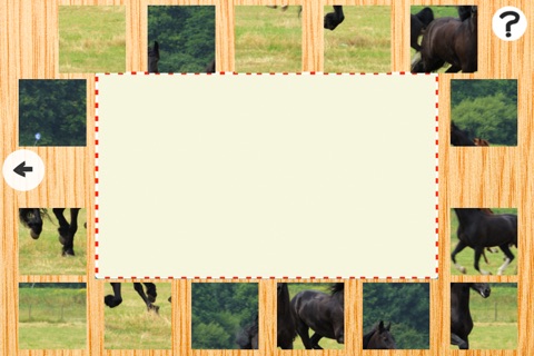 Activity Pony & Cute Animal Puzzle With Small Ponies and Horses For Kids & Family screenshot 3