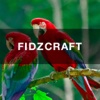 FIDZCRAFT