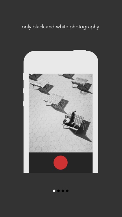 gray - simple grayscale camera