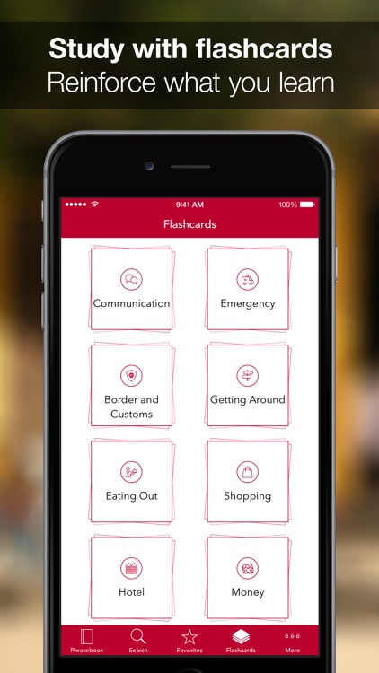 SpeakEasy Japanese ~ Offline Phrasebook and Flashcards with Native Speaker Voice and Phonetics screenshot-4
