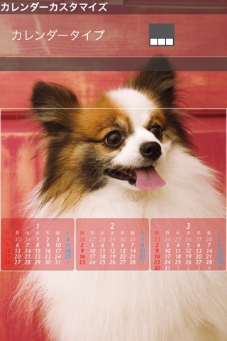 12Calendar - Lock screen wallpaper calendar screenshot 4