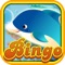 Lucky Splashy Big Gold Fish Bingo Games & Win Casino Blitz Free