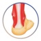 Would you like to enhance communication with your patients so they can better understand the anatomy, physiology or pathology of their psoriatic condition