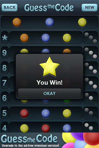 Guess the Code! - náhled