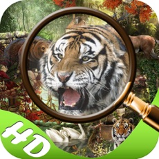 Activities of Mystery in Jungle Hidden Objects edition