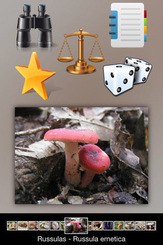 Mushrooms Info screenshot 3