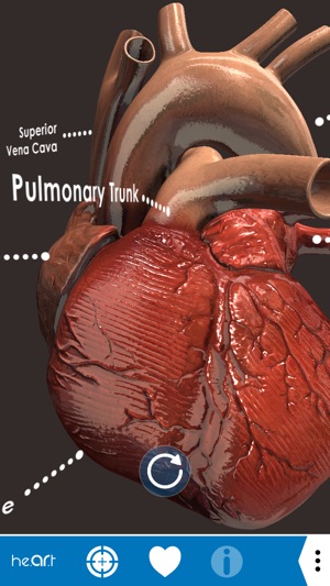 Heart AR(圖3)-速報App