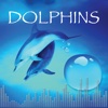 Fun Dolphin Sounds Edition