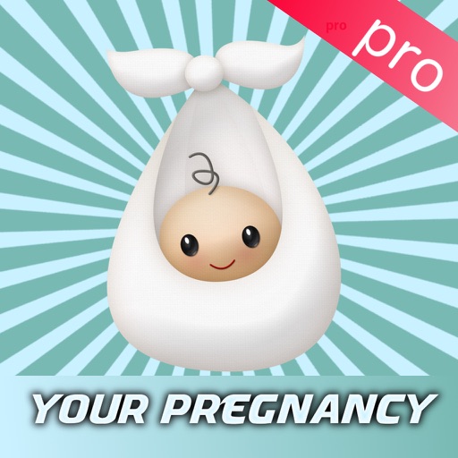 Your Pregnancy Pro