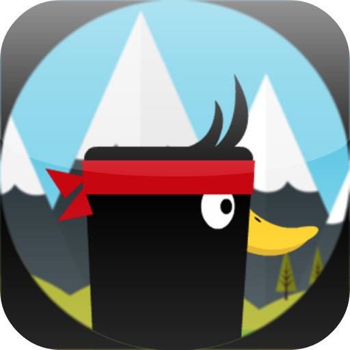 Stunt Hero iOS App
