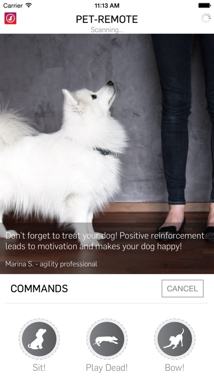 Pet-Remote - Control your dog or pet