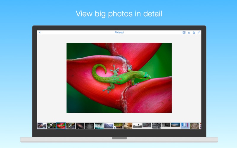 Pixfeed for Flickr Screenshot