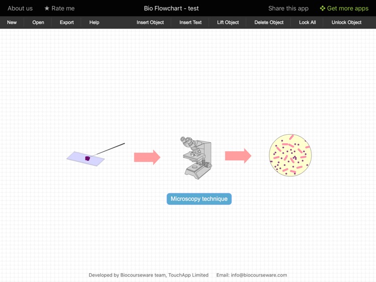 Bio Flowchart