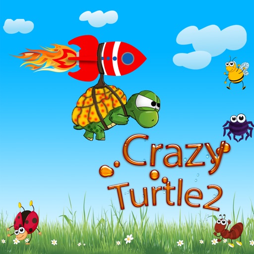 Crazy Turtle2 Icon