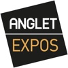 Anglet Expositions - Art Contemporain