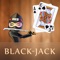 Ace Ninja Jackpot BlackJack - ultimate casino card challenge game