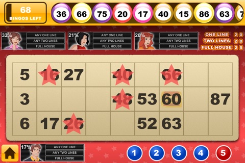 Bingo90 2013 screenshot 4