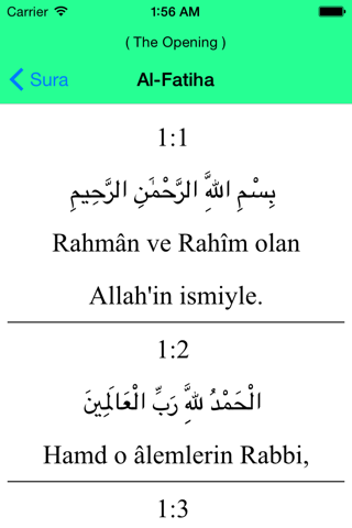 Al Quran - Turkish screenshot 2