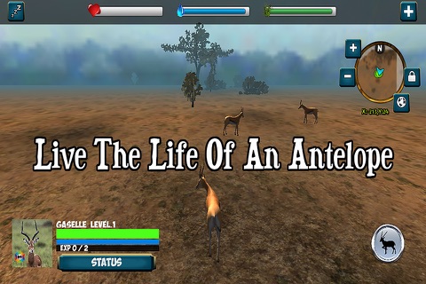 Antelope Simulator screenshot 3