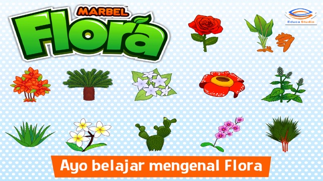 Marbel Flora(圖2)-速報App