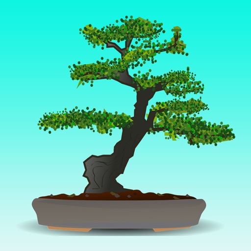 Bonsai Tree Guide - Everything You Need To Know Bonsai Tree ! icon