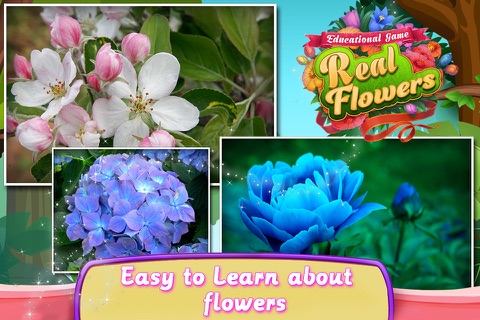 Educational Game Real Flowers screenshot 4