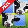 Free Memo Game Farm Animals Photo