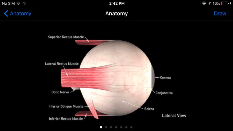 Sight Selector Lite