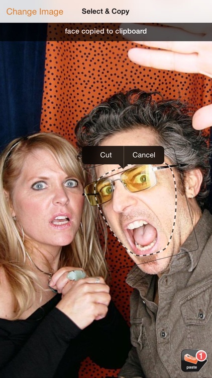 Friend Blender HD – Swap Faces and Funny Effects screenshot-3