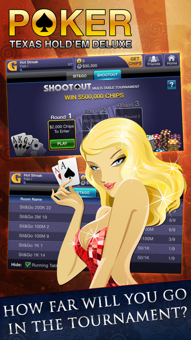 Texas HoldEm Poker Deluxe screenshot