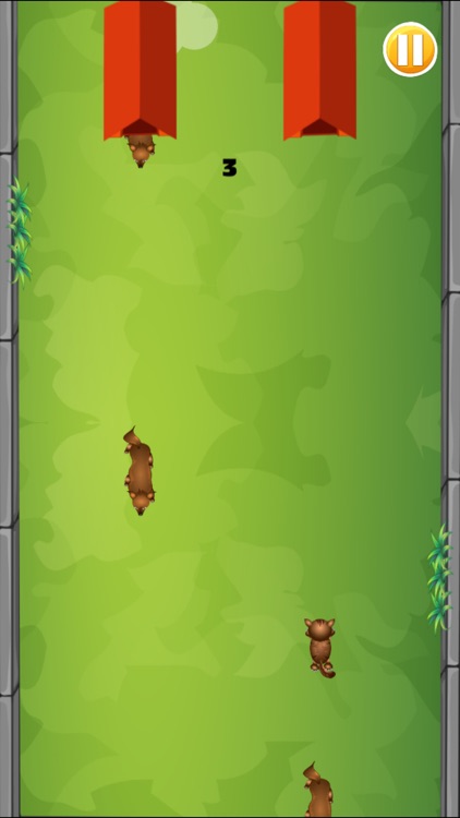 Dog Paws Vs Cat Claws Adventure Rescue screenshot-3