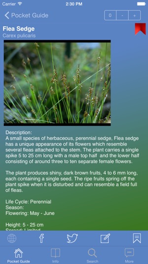 Pocket Guide UK Grasses(圖4)-速報App